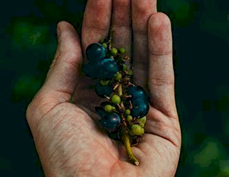 Lorem ipsum dolor sit amet, consectetur adipiscing elit.