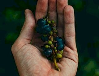 Lorem ipsum dolor sit amet, consectetur adipiscing elit.